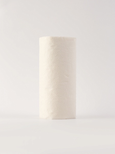 Полотенце бумажное в рулоне Paclan Practi Paper Comfort, 22х23 см, 60 шт.