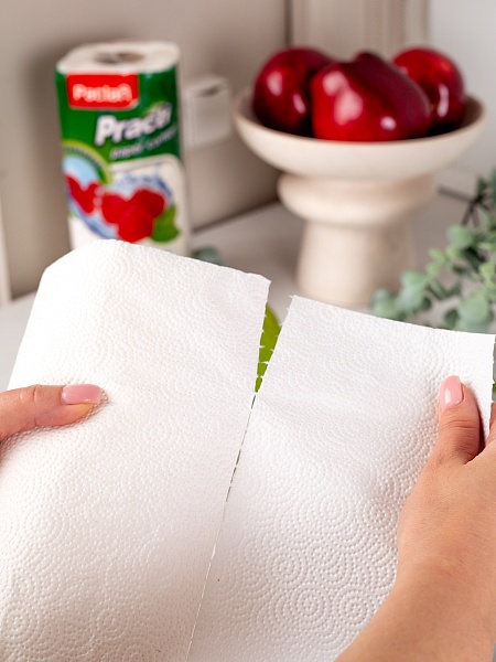 Полотенце бумажное в рулоне Paclan Practi Paper Comfort, 22х23 см, 60 шт.