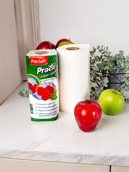 Полотенце бумажное в рулоне Paclan Practi Paper Comfort, 22х23 см, 60 шт.