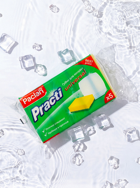 Губки для посуды Paclan Practi Universal, 5 шт.