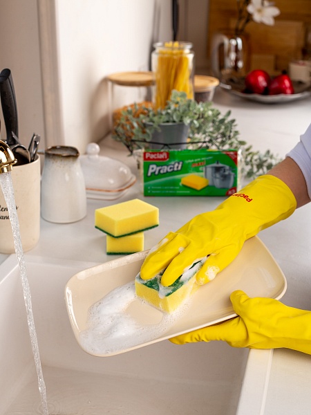 Губки для посуды Paclan Practi Maxi, 3 шт.