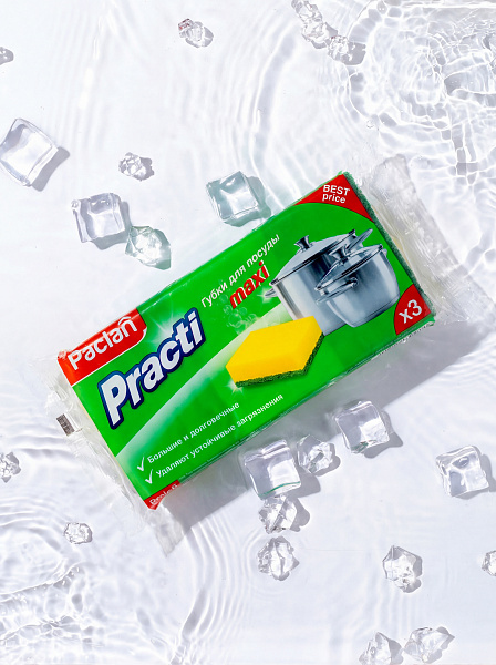 Губки для посуды Paclan Practi Maxi, 3 шт.